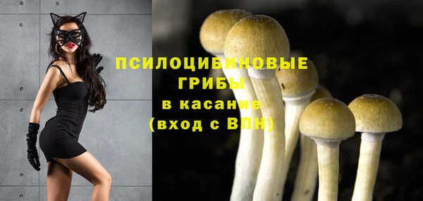 кокс Баксан