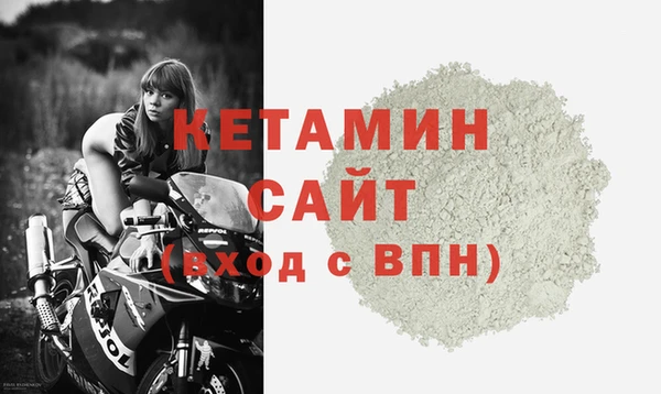 СК Ельня